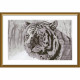 Бенгальський тигр Набір для вишивання хрестиком Нова Слобода