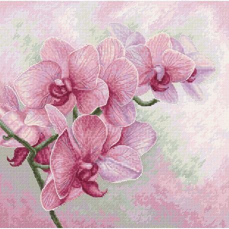 Изящные орхидеи Набор для вышивания крестом Luca-S B7009 фото