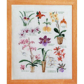 Сорта орхидей Схема для вышивания крестом Lucas Creations FL18-C