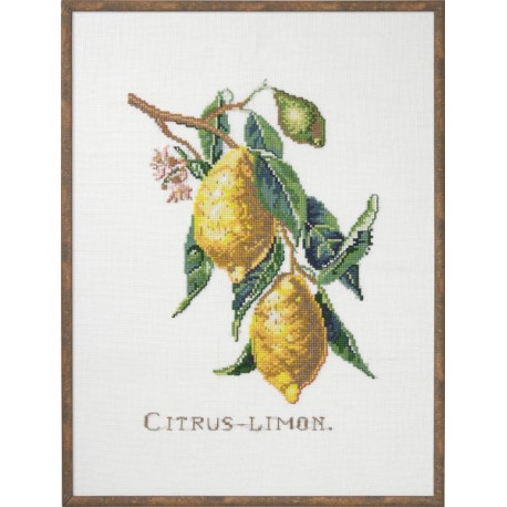 Лимони Набір для вишивання хрестиком Eva Rosenstand 12-850 фото