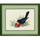 Черная птица и яблоко Набор для вышивания крестом Eva Rosenstand 12-983
