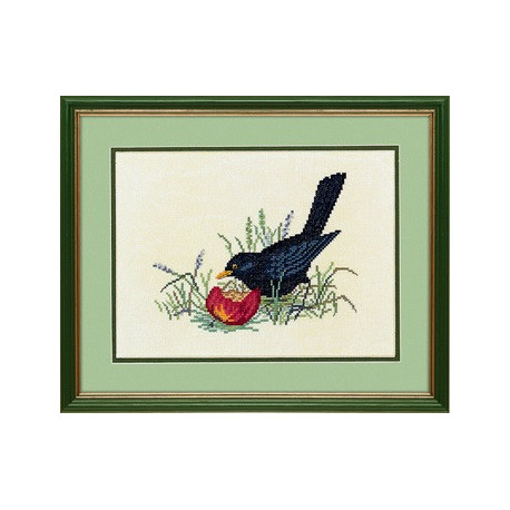 Черная птица и яблоко Набор для вышивания крестом Eva Rosenstand 12-983