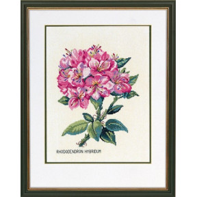 Рододендрон, розовый Набор для вышивания крестом Eva Rosenstand 12-895