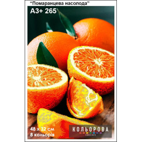 Оранжевое наслаждение Схема для вышивания бисером ТМ КОЛЬОРОВА А3+ 265