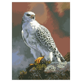 Білий орел Канва з нанесеним малюнком для вишивання хрестиком