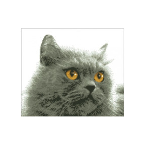 Серый кот Канва с нанесенным рисунком для вышивки крестом Світ можливостей 790СМД