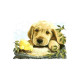 Собачка и цыпленок Канва с нанесенным рисунком для вышивки крестом Світ можливостей 8118СМД