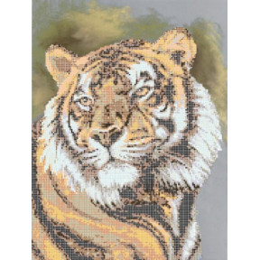 Рисунок на ткани Повитруля Б4 01 Тигр фото