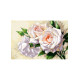 Белые розы Канва с нанесенным рисунком для вышивки крестом Світ можливостей 901СМД