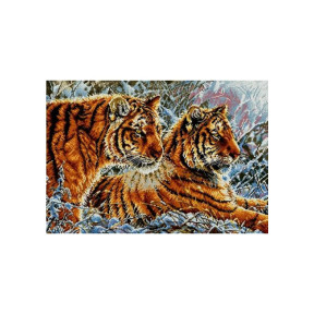 Тигри Канва з нанесеним малюнком для вишивання хрестиком Світ