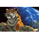 Амурский тигр. Спасем планету Схема для вышивки бисером Tela