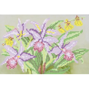 Рисунок на ткани Повитруля Б6 11 Орхидеи фото