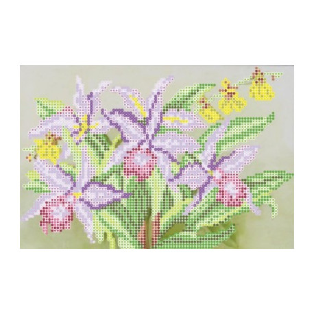 Рисунок на ткани Повитруля Б6 11 Орхидеи фото