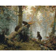 Утро в сосновом лесу ©И.Шишкин и К.Савицкий Картина по номерам Идейка Холст на подрамнике 40х50 см КНО4310