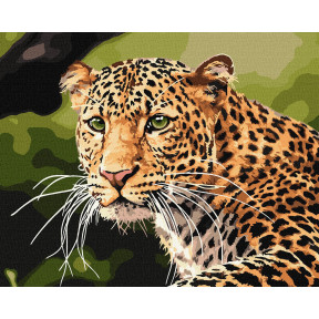 Зеленоокий леопард Картина за номерами Ідейка Полотно на підрамнику  40х50 см KHO4322