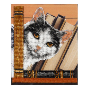 Котик Мыцик Схема для вышивания бисером ВДВ Т-0829 фото