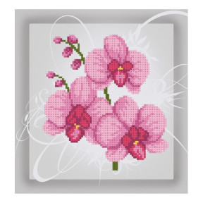 Розовая орхидея Схема для вышивания бисером VDV Т-0994