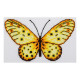 Бабочка Набор для вышивания крестом ВДВ М-0217 фото