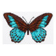 Бабочка Набор для вышивания крестом ВДВ М-0218 фото