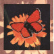 Метелик Схема для вишивки бісером Alisena B-1039a фото