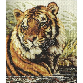 Набір для вишивання Janlynn 106-0059 Tiger фото
