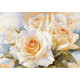 Набор для вышивки крестом Алиса 2-32 Белые розы фото
