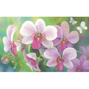 Орхидея красавица Принт для художественной вышивки Alisena