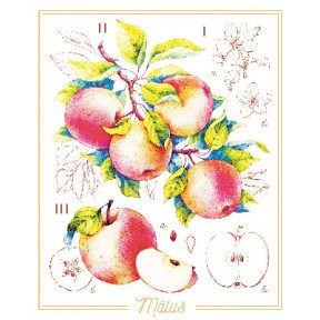Яблоки Принт для художественной вышивки Alisena AL1041а фото