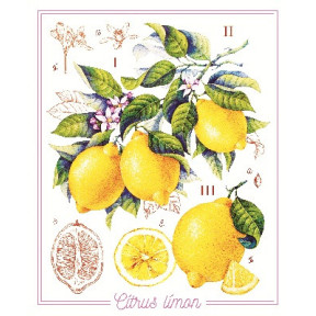 Лимоны Принт для художественной вышивки Alisena AL1042а фото