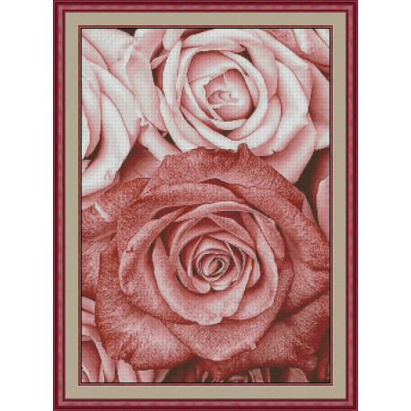 Розовые розы Электронная схема для вышивания крестиком КВ-0031ИХ