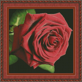 Червона троянда Електронна схема для вишивання хрестиком ТМ Інна Холодна КВ-0041ИХ