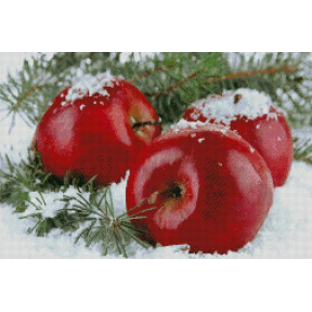 Яблука на снігу Електронна схема для вишивання хрестиком СХ-26НО