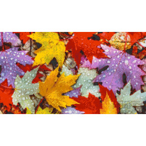 Осенние листья Электронная схема для вышивки бисером С-005НВ Творческая Студия Nuance