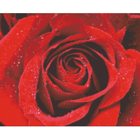 Роза в росе Набор для вышивки бисером по чистой основе НК-003НВ