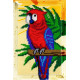 Папуга ара Набір для вишивання з пряжею Bambini X-2305