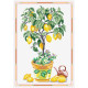 Лимонне деревце Набір для вишивання хрестиком Чарівниця N-2604