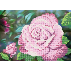 Рисунок на ткани Повитруля Б6 13 Королева сада.Розовая