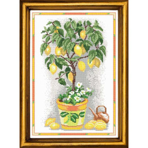 Лимонне деревце Канва з нанесеним малюнком Чарівниця S-26