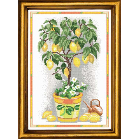 Лимонне деревце Канва з нанесеним малюнком Чарівниця S-26