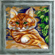 Кот на завалинке Канва с нанесенным рисунком Чарівниця E-07