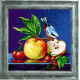 Синьохвістка на яблуках Канва з нанесеним малюнком Чарівниця E-36