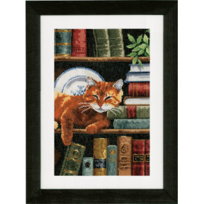 Кіт на книжковій полиці Набір для вишивання хрестом Vervaco PN-0158440