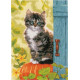 Кот и тыква Набор для вышивания крестом Vervaco PN-0158303