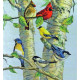 Набір для вишивання Dimensions 35252 Birch Tree Birds фото