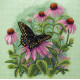 Набор для вышивания Dimensions 35249 Butterfly & Daisies фото