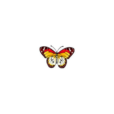 Тропическая бабочка Ткань для вышивания с нанесённым рисунком Orchidea O-385