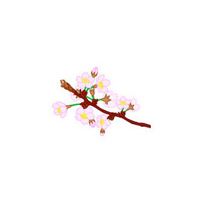 Сакура Тканина для вишивання з нанесеним малюнком Orchidea O-312