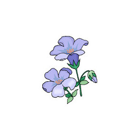 Квіти-дзвіночки Тканина для вишивання з нанесеним малюнком Orchidea O-331