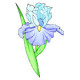 Блакитний ірис Тканина для вишивання з нанесеним малюнком Orchidea O-351