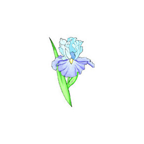 Голубой ирис Ткань для вышивания с нанесённым рисунком Orchidea O-351